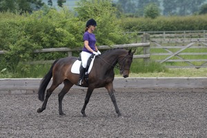 ISIS Dressage Challenge 2008